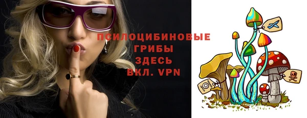 дживик Баксан