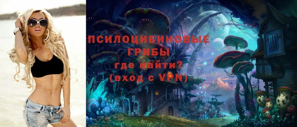 дживик Баксан